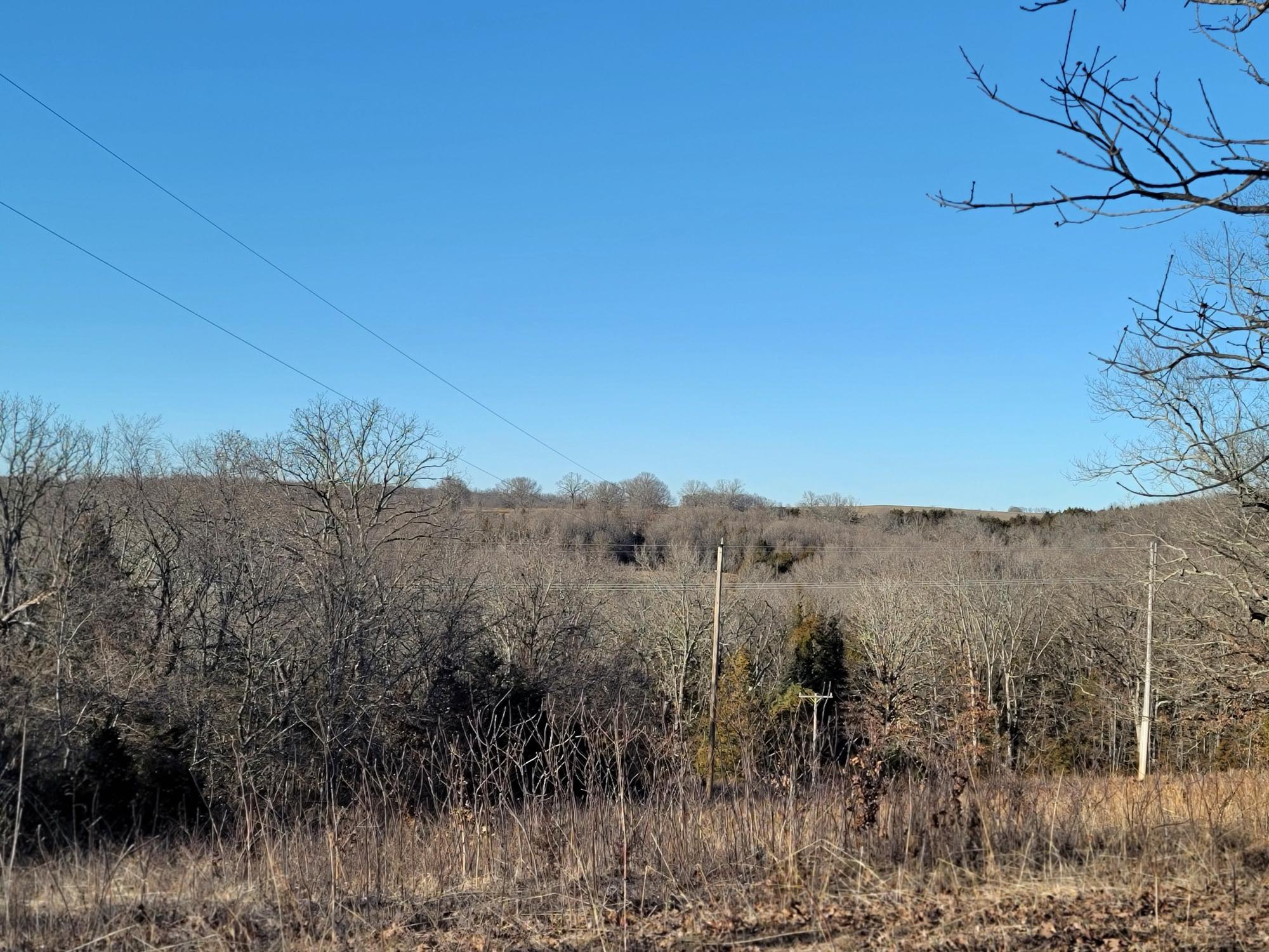 Ozark County Hunters Paradise! This 35 acre property located in the heart of the Missouri Ozarks, has enough land and wooded area to give a secluded feel, but with the convenience of State Highway frontage and a county road on one side. Featuring a pond and a wet weather creek that attract wildlife, an older trailer house that has been used as a hunting cabin in the past, and a utility easement that provides an excellent shooting lane, it is time to start planning your next hunting trip! With electric already on the property and some amazing views, this could be the perfect place to build your dream home! There is also some marketable timber on the property,This property is very close in multiple directions to Mark Twain National Forest and within minutes of Caney Mountain Conservation Area which consists of over 7,000 acres of public hunting land.Just a short distance in just about any direction will bring you to an outdoor adventure. Visit the pristine Bull Shoals and Norfork Lakes or several great rivers like the North Fork of the White River, the Little Piney, Jack's Fork, and the Eleven Point. There are also many spectacular natural Springs, Waterfalls, and historic Mills throughout Southern Missouri to visit with the family.