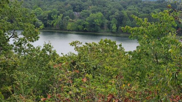 Lake Taneycomo Woods - Land