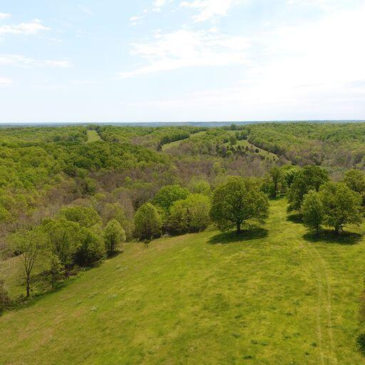 Nicely tucked acreage! Mostly wooded for the hunter or a place to build your dream home 27.51 acres slightly rolling. Build your home in the country with space to boot! Easy access, 15 min to Table Rock Lake, 7 minutes to Flat creek. 20 minutes to Cassville or Aurora or Monett. less than an hour to Branson or Springfield. More land available.