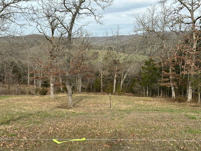 Saddlebrooke - Land