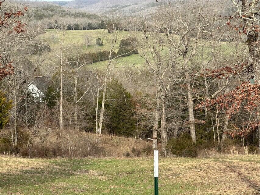 Saddlebrooke - Land
