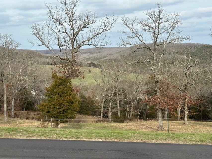 Saddlebrooke - Land