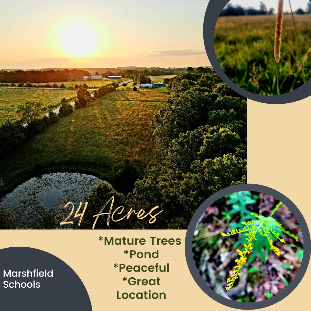 Are you looking for a nice flat piece of land with mature trees and privacy? That's exactly what this 24-acre tract of land has to offer. Located in Marshfield, about a 30-minute drive to Lebanon or Springfield. It features roughly 3 acres of pasture and a pond. Perfect area where you can keep a horse or other farm animals, with the seclusion of your house sitting further back in the woods. There's a road created taking you back to a 1 acre cleared area, so you are ready to start the building process. This is a beautiful property with a great location.