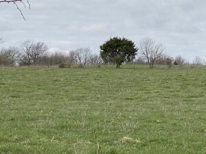 35+/- Acres located in Republic, perfect for development or a private residence. Seller might consider splitting the property into two smaller parcels with reasonable offer.