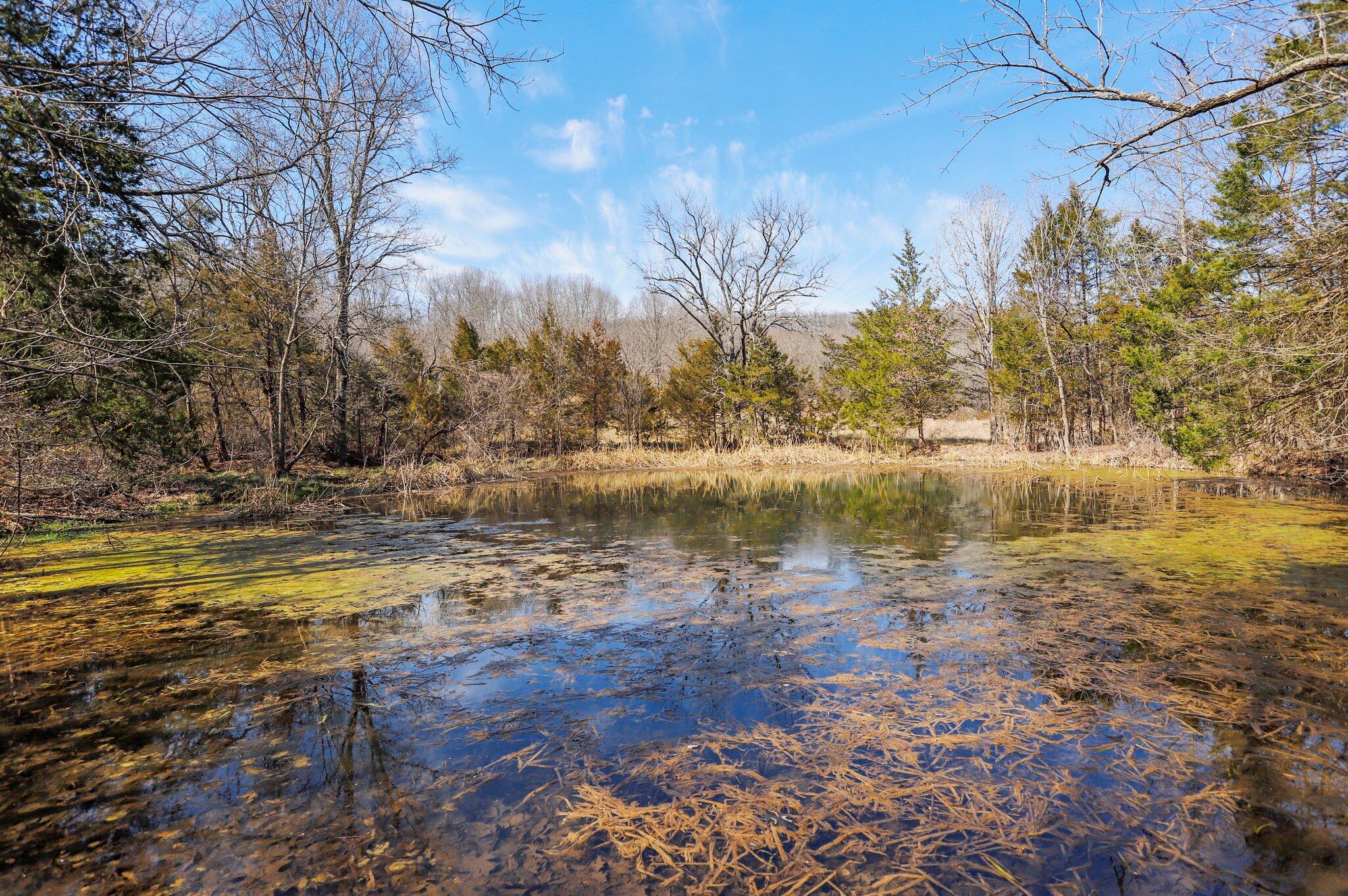 Beautiful 20 acre parcel. There is a spring fed pond and a spring fed creek on this piece. 50/50 split pasture to woods. There is an easement that leads to this property and a cross fence will need to be built between the 2 parcels. Property lies in between 2 hills secluded but road is rough to get to the parcel.