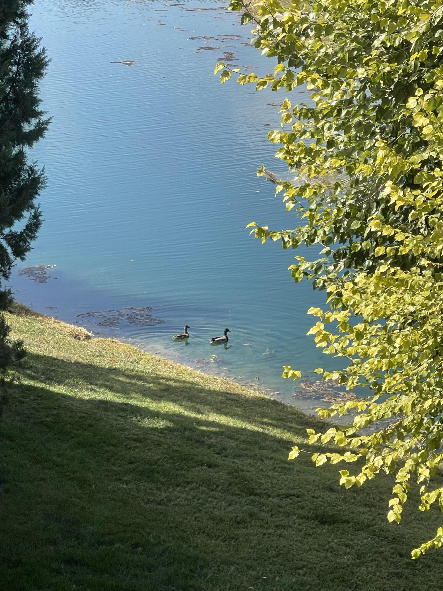 Granite Springs - Residential