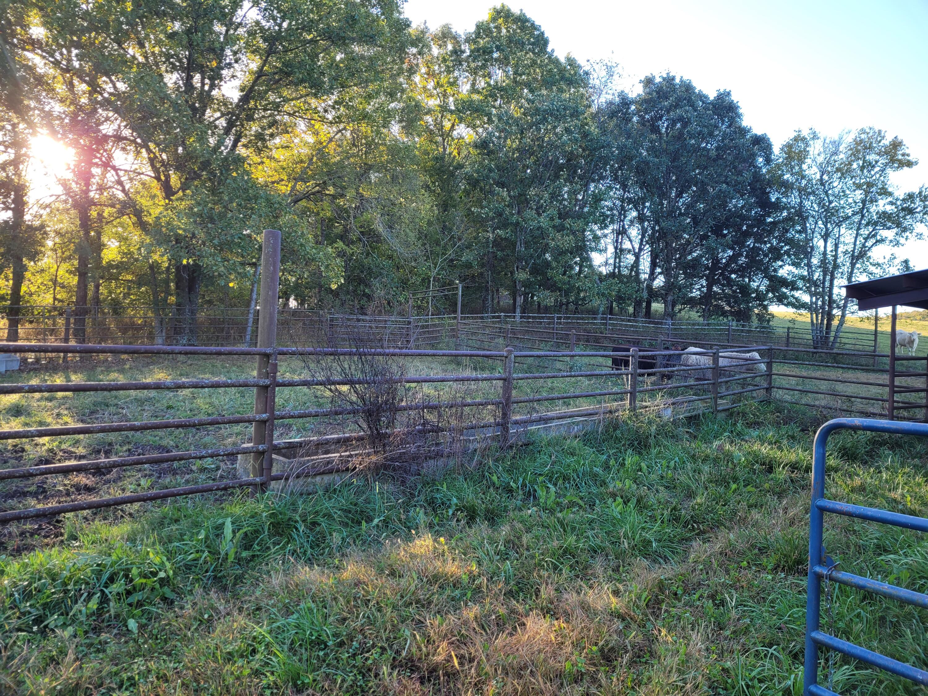 N/A - Farm