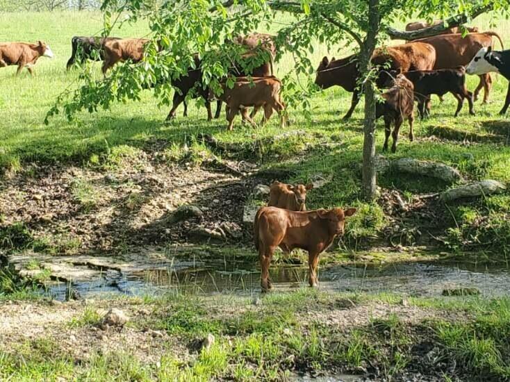 N/A - Farm
