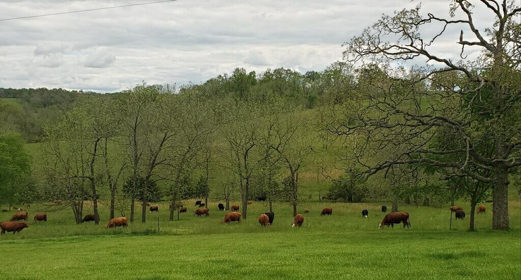N/A - Farm
