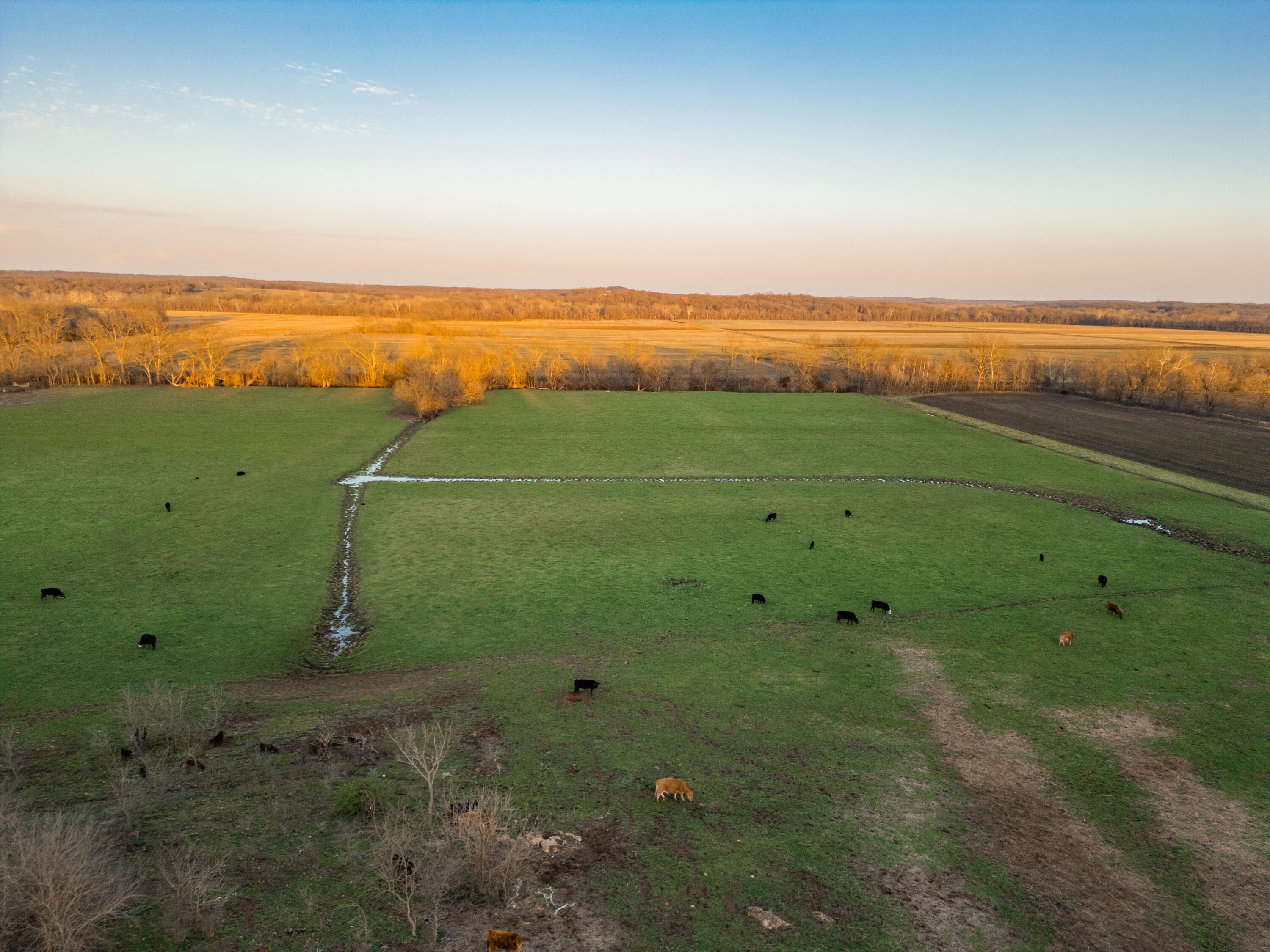 N/A - Farm