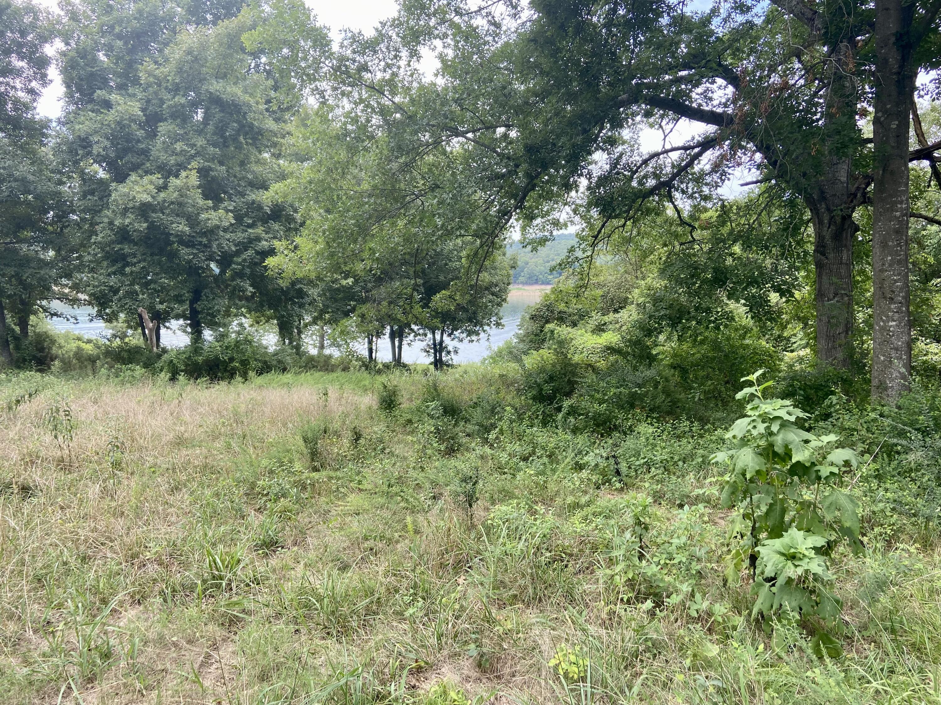 Ozark-Not in List - Residential