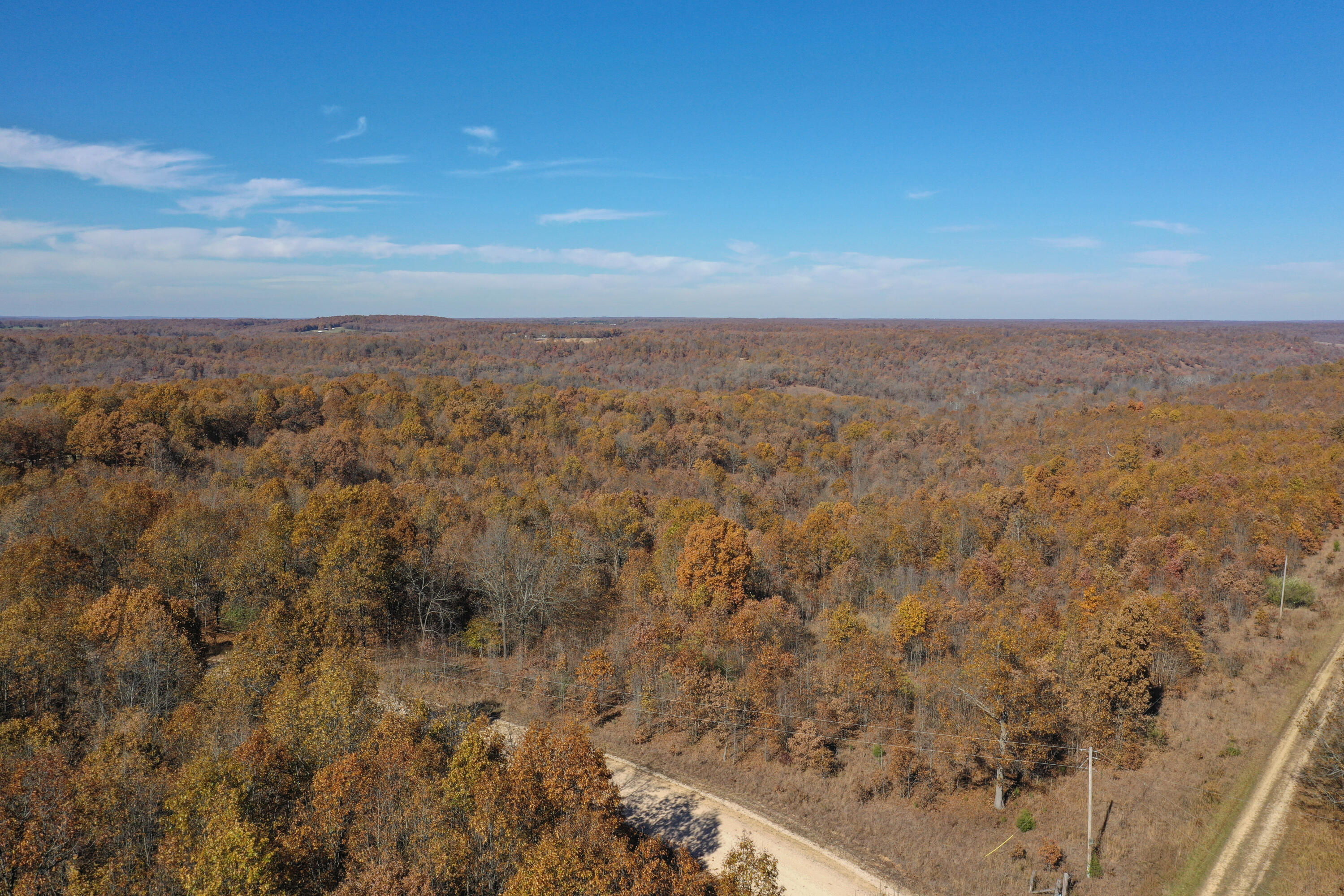 61.44 acres in Dallas County. Wooded/cleared combo would make a great for hunting and/or building property. Buffalo High School district.