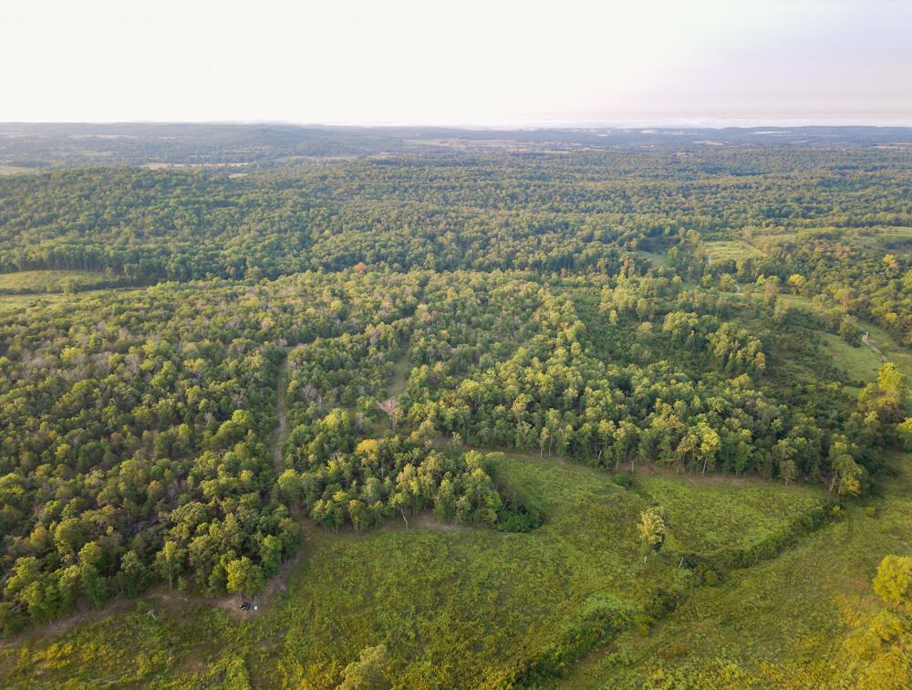 This magnificent 120-acre property offers a diverse blend of pasture and timber making it ideal for a hunting, farm, or recreational tract.As you step foot onto this property, you'll immediately notice the stunning mixture of pasture and rolling hills offering picturesque views complimented by a wooded ridge, providing both a peaceful setting and ample opportunities for outdoor activities, specifically hunting. For hunters, the wooded ridge on the property offers a network of trails, offering a system that allows them to navigate the property with ease. The back portion offers a secluded pasture that could be turned into multiple food plot locations which would create a great influx of wildlife from the surrounding landscape. While there is no shortage of deer or turkey, this farm has the potential to be a very affordable hunting escape. With electric close by this could also make for a very private and secluded build location for a primary residence, cabin, or hunting camp.Situated within proximity to Bull Shoals Lake at Theodosia Marina, lake lovers will have easy access to recreational activities. Spend your days boating, fishing, or simply relaxing by the lake. In addition, the property offers convenient access to other amenities and services, ensuring that you have both convenience and seclusion in one package. In addition to Bull Shoals Lake, it is only a short distance from Norfork Lake or several great rivers like the North Fork of the White River, the Little Piney, Jack's Fork, and the Eleven Point. This property is also close to thousands of acres of public land such as the Mark Twain National Forest, White Ranch Conservation Area, and Caney Mountain Conservation Area.This affordable farm won't last long and is priced to sell. The owner will grant a deeded easement to ensure property access and is also open to selling additional acreage to provide owned access if an easement is not ideal. Inquire with the agent for more details!