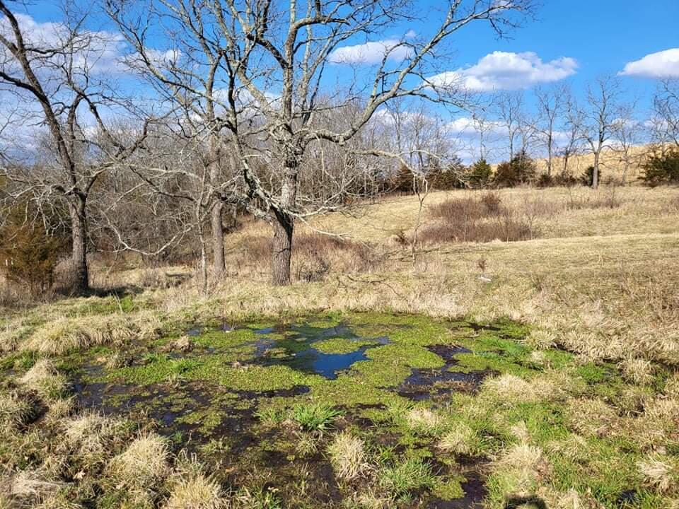 N/A - Farm