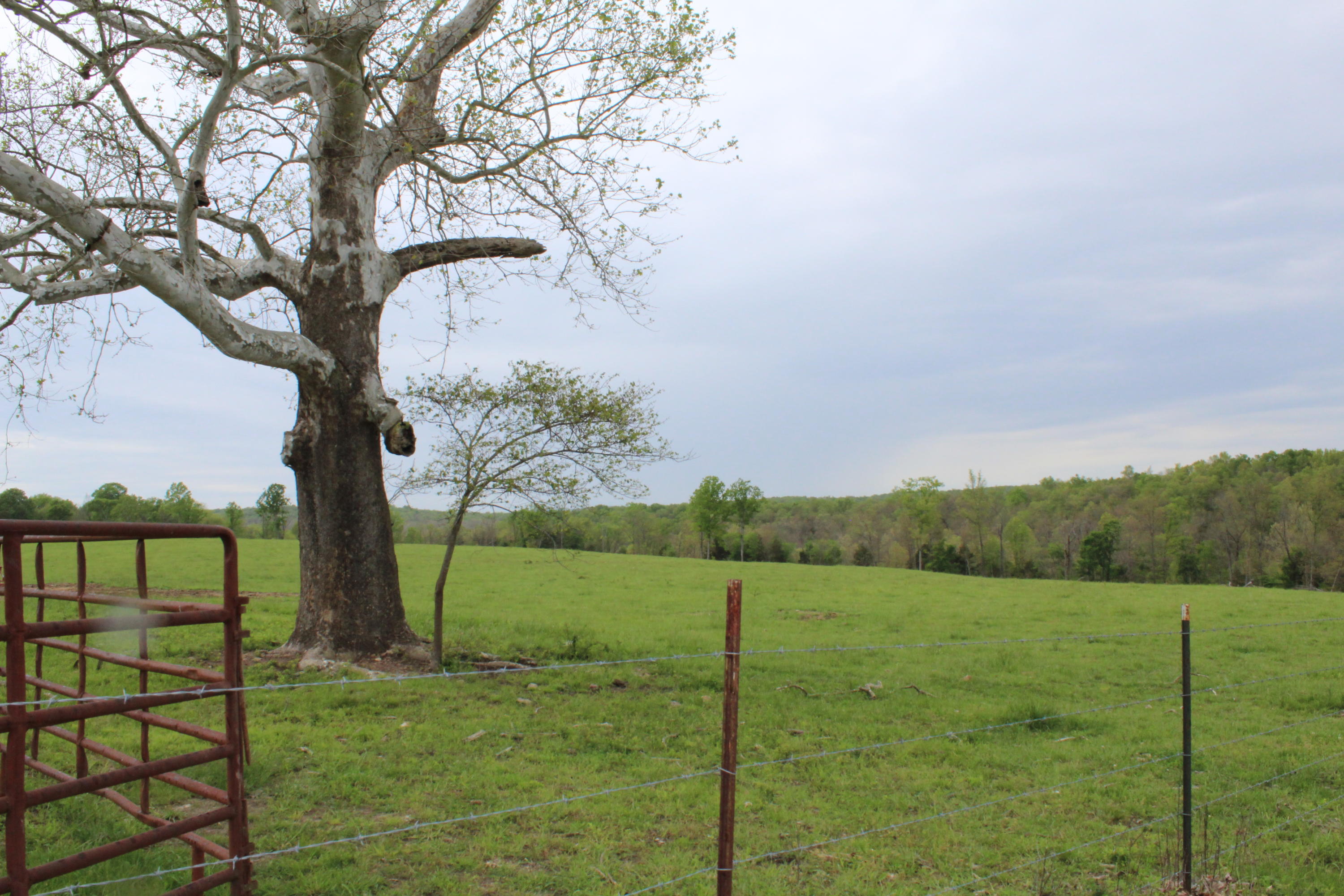 Fish, Hunt, or Farm this beautiful 183.77 acres at Cedarcreek.  Walk to Bull Shoals or put your fishing boat in at the end of the road.  If you prefer hunting, turkey and many trophy bucks have been spotted on this magnificant piece of land.Thirty acres are already cleared to run your cattle or horses too.  Five ponds, and a year round spring plus a shared well, guarantee   you will have plenty of water for all your livestock.  40x80 machine shed is also in place to store hay or all your equipment. Electric is also on the property.There are many tree stands and hunting stands that are thruout the property that stays with the property.  Feed plots dot the property with wheat fields, rye fields and cool weather grasses.  Many of trophy bucks have been taken from the property along with turkeys, and doves. There are great building spots all over the property even some locations with winter lake view!!  Very secluded and quiet.