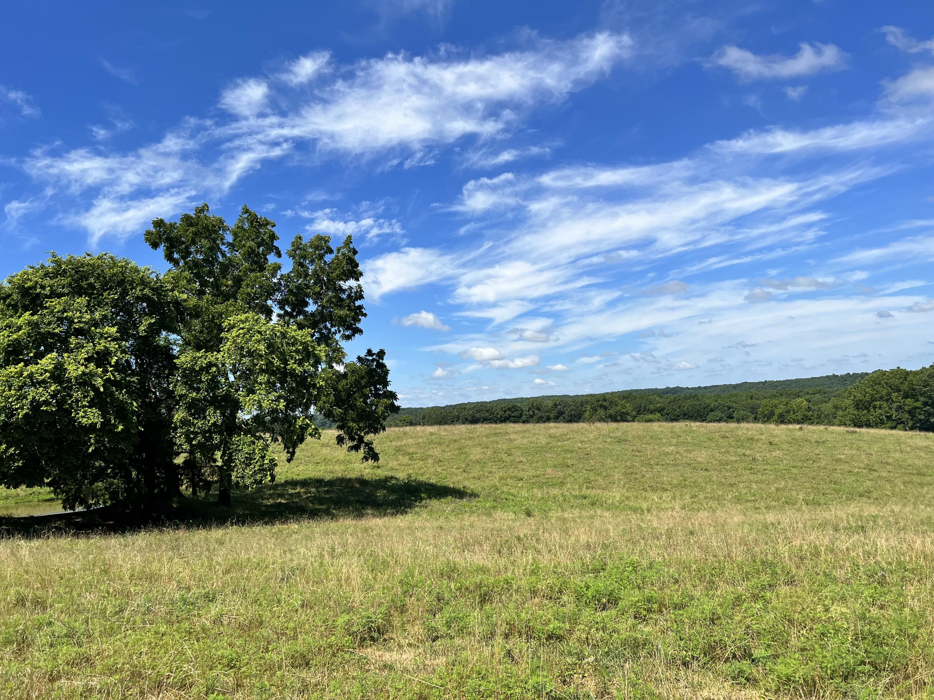 Looking for acreage to build and not have covenants or restrictions? Check out this beautiful 34.7 acres in Highlandville. Wonderful views with some area wooded and the majority pasture. The property has an inground well house on it with an automatic waterer. Barn, smokehouse, and another outbuilding. There is an old house right at the front of the property that is falling in. There are some fantastic views on several parts of the property.