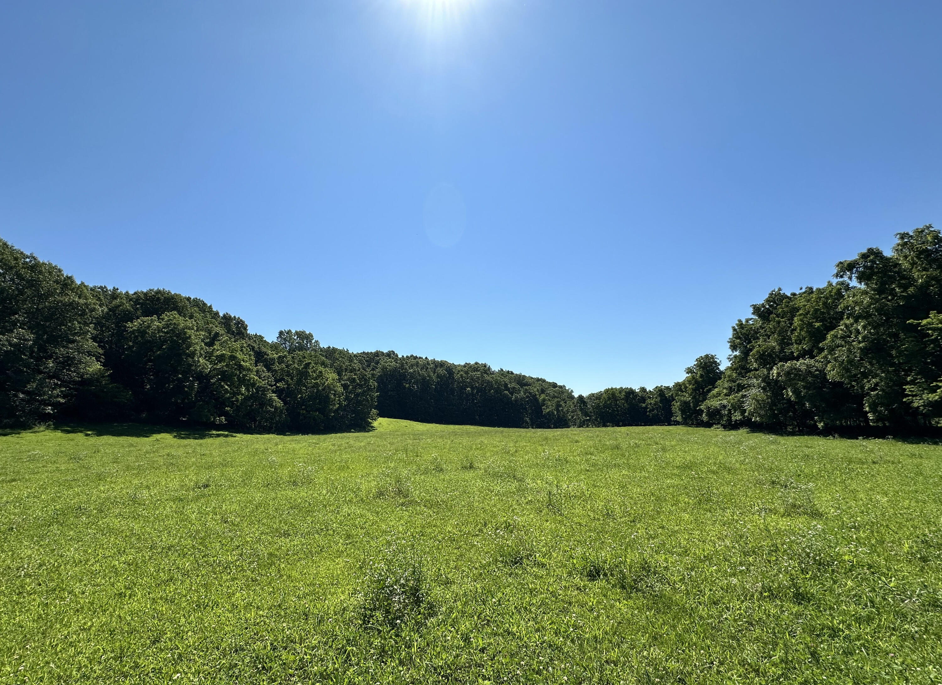120 acres of gorgeous rolling farmland with  views for miles!  This is the perfect place to build your dream home with 9 pasture areas, but still some wooded area perfect for hunting deer and turkey.  The perimeter is fenced with 5 barb and there is electric fencing between the pastures.  There are 7 ponds and an automatic electric waterer. Electric through the property, and there is a 700+ foot deep well.  Trees have been cleared and ground bulldozer leveled. This type of land is hard to find in this area.  10 minutes to Clever, 20 minutes to Nixa or Republic, 30 minutes to Table Rock Lake, and only 5 minutes to the river.