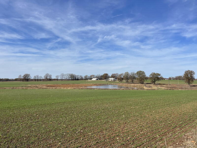 Saint Clair-Not in List - Residential