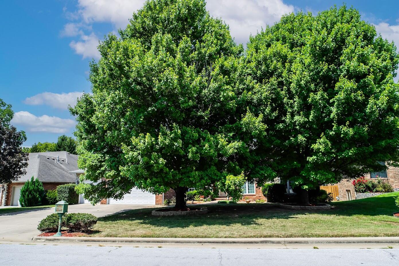Emerald Park - Residential