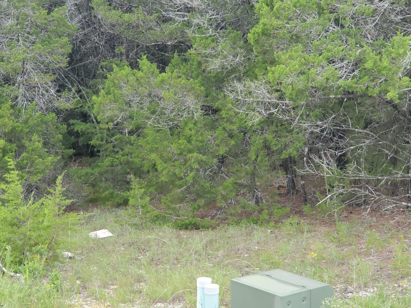 Photo 2 of 12 of Lot 215 Silver Sunset Lane land
