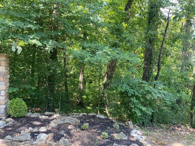 Photo 6 of 14 of 4940 East Thicket Lane land