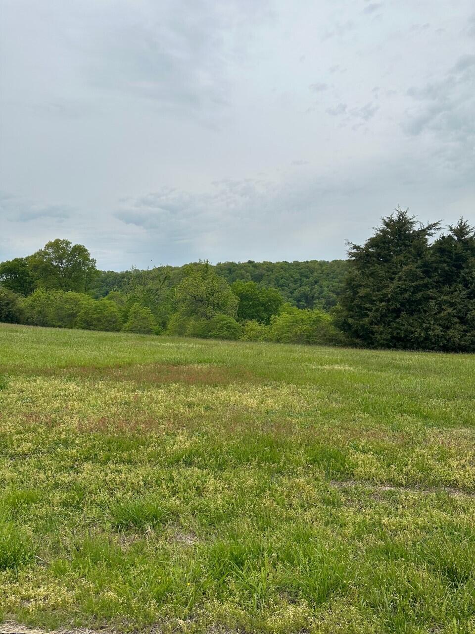 Hickory Ridge Estates - Land