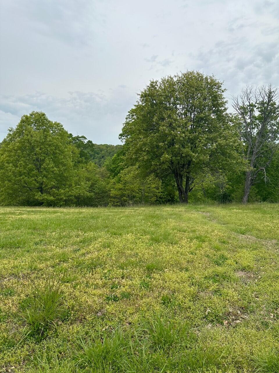 Hickory Ridge Estates - Land