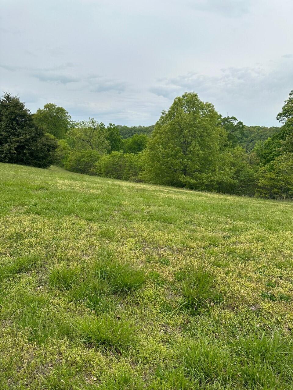Hickory Ridge Estates - Land