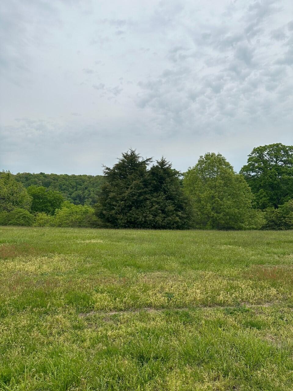 Beautiful views of the Ozark Mountains and a great location for your home! Easy access to the Ozark Mtn Highway and Highway 65. Within minutes of shopping, dining, schools and all that Branson has to offer. Gated subdivision, walkout basement lot.