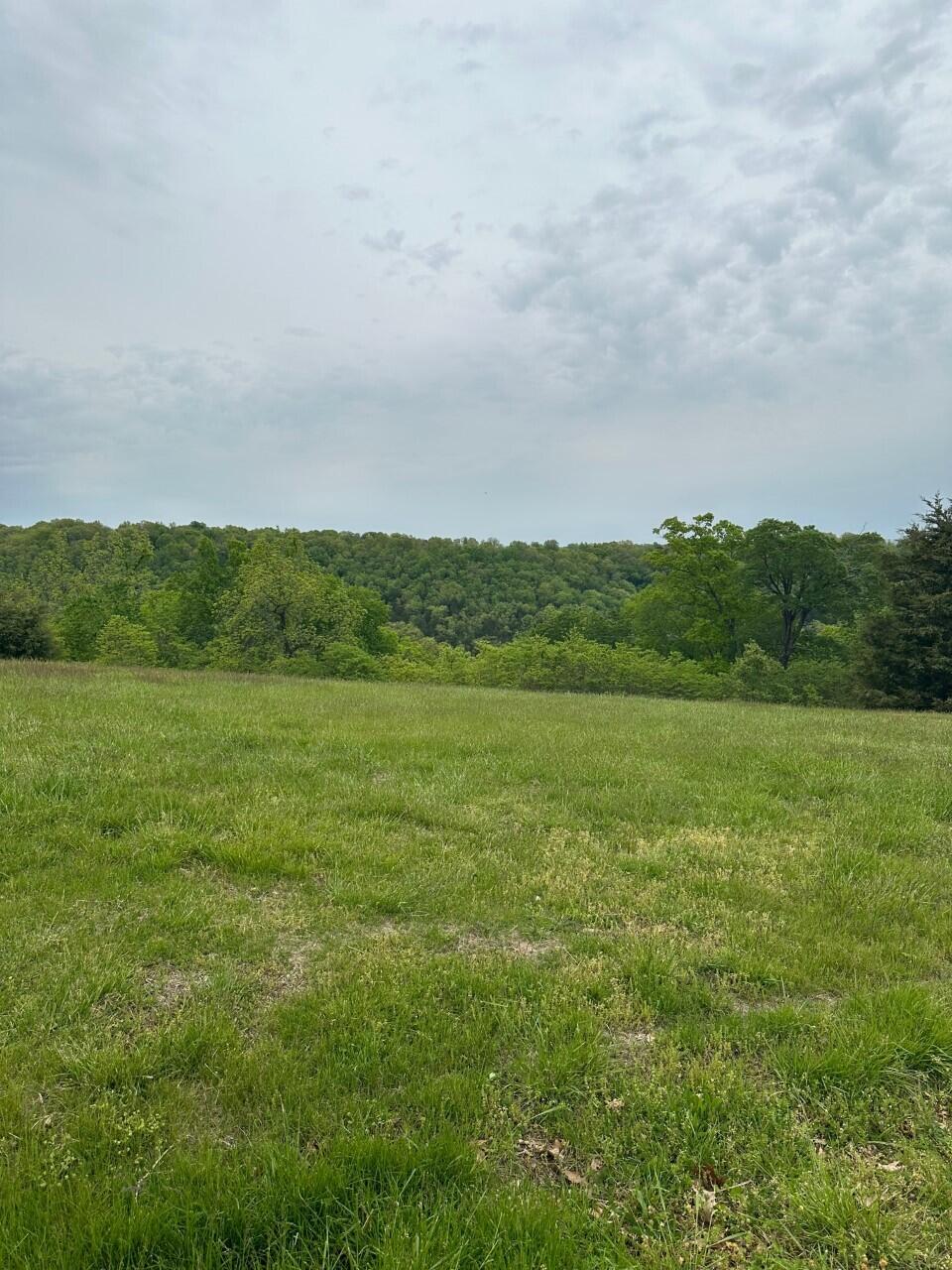 Hickory Ridge Estates - Land