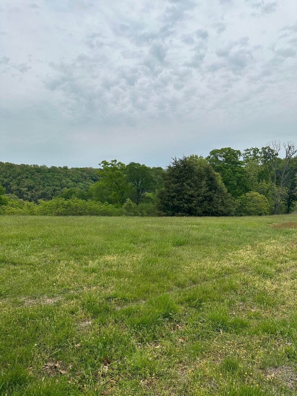 Hickory Ridge Estates - Land