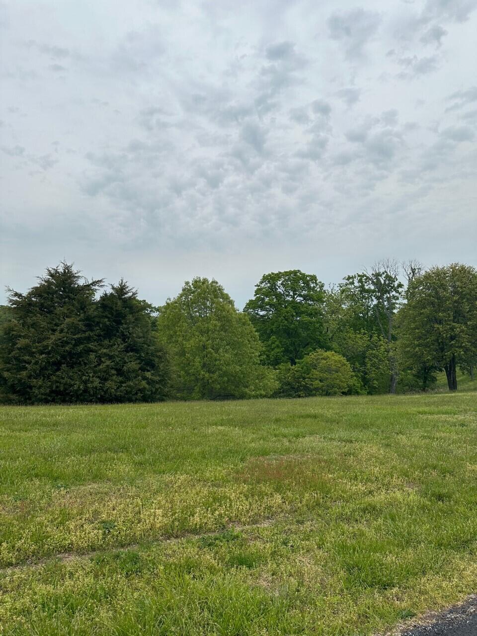 Hickory Ridge Estates - Land