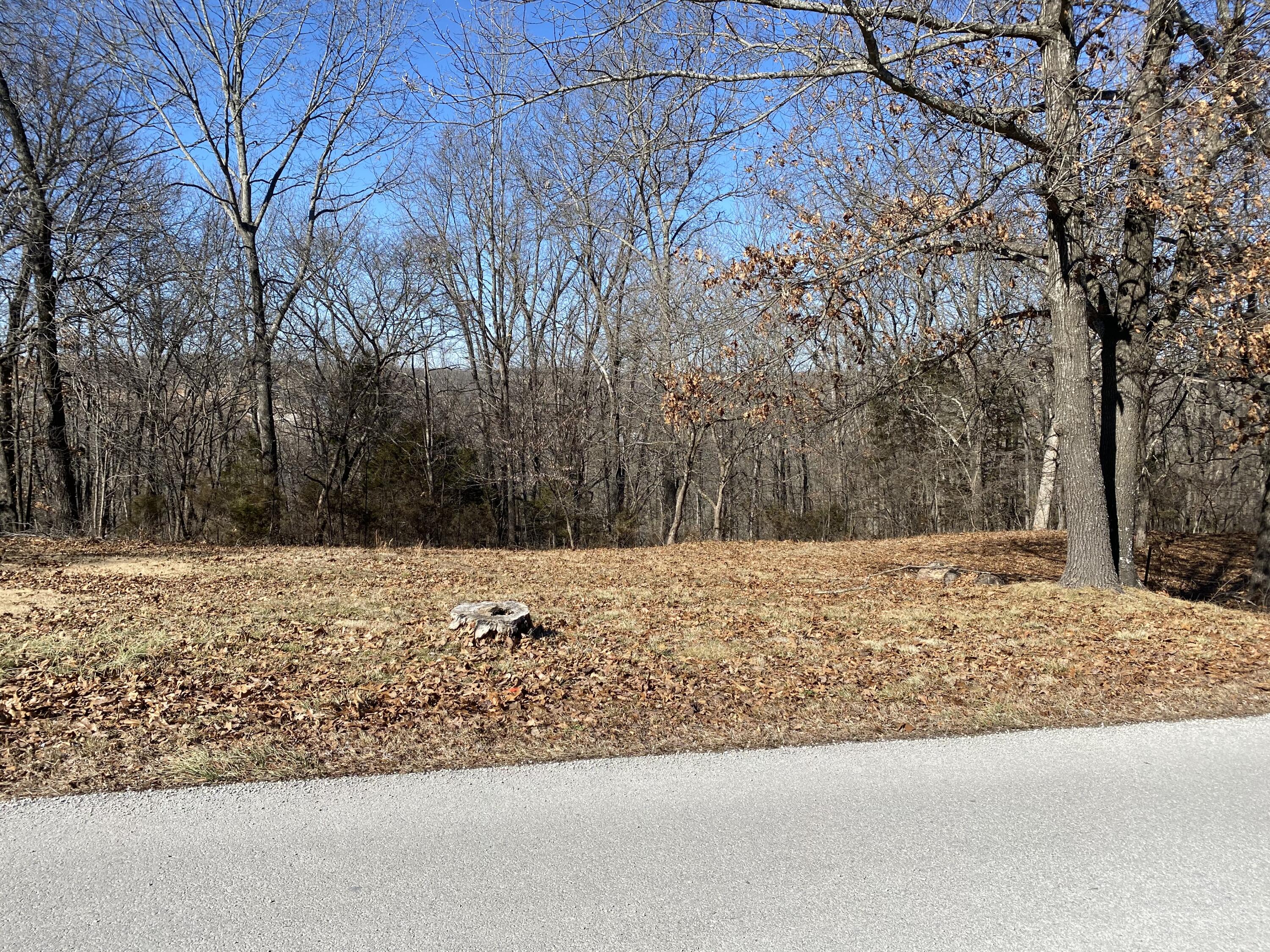 Build your Branson dream home just 3 minutes from the 76 Strip and only 5 minutes from Silver Dollar City. Convenient and easy access to attractions, shopping and medical.