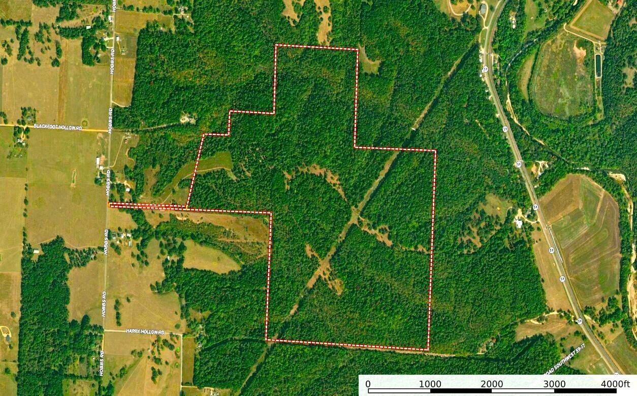This expansive acreage is situated on a paved road in McDonald County, approximately 5 minutes west of Anderson, MO, on Hobbs Rd. The property offers a secluded retreat and is a hunting enthusiast's paradise. The landscape is crisscrossed with numerous trails, and there are four strategically placed Redneck hunting blinds, providing excellent vantage points for observing and hunting game. The current owner has meticulously managed the land for several years, ensuring that the wildlife on the property is abundant and diverse, making it an impressive hunting ground. The mature timber on the property predominantly consists of white and red oak, contributing to the natural beauty and ecological value of the land. Electricity is conveniently located at the entrance of the property, offering potential for development or the addition of amenities. Opportunities to own farms like this are infrequent, making it a unique and valuable investment for anyone seeking a prime hunting location or a peaceful rural escape. Scheduling a showing is highly recommended to fully appreciate the exceptional qualities and potential of this remarkable property.