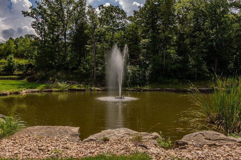 Branson Pointe - Residential