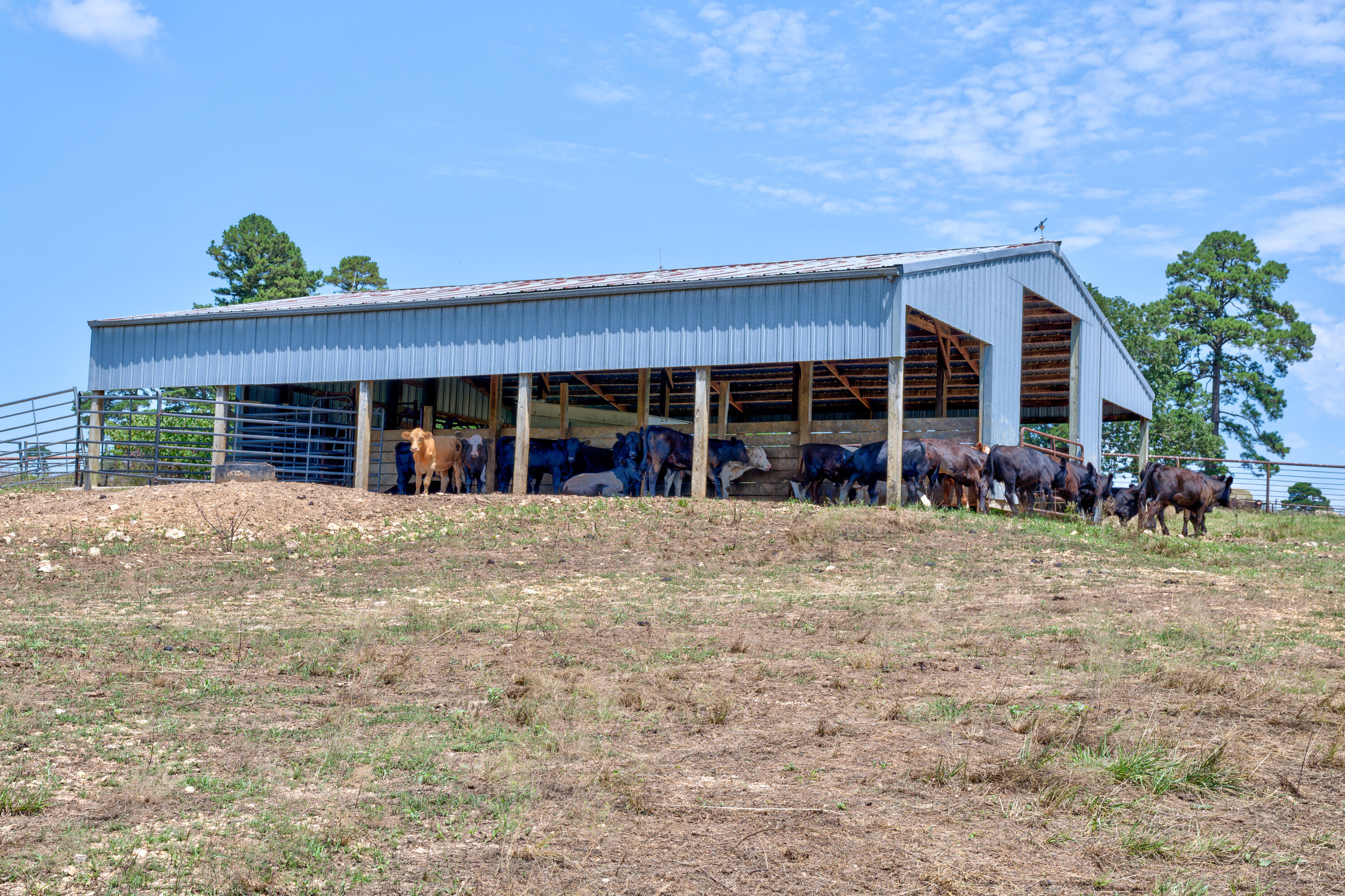 N/A - Farm