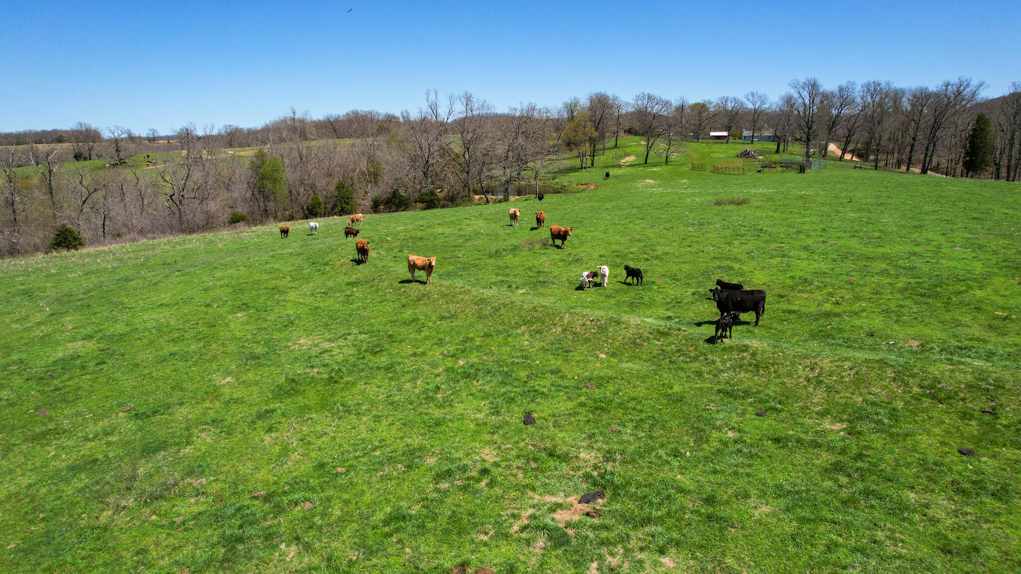 N/A - Farm