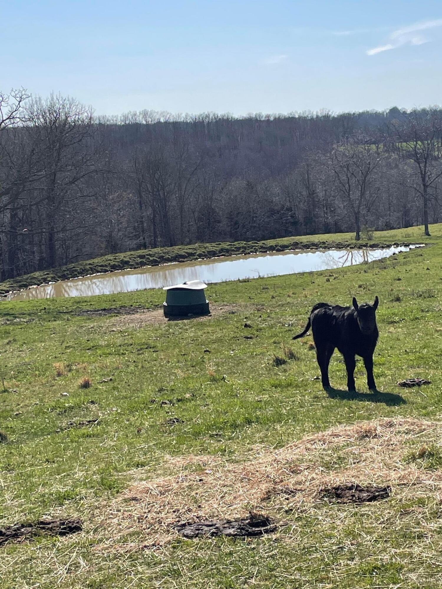 N/A - Farm