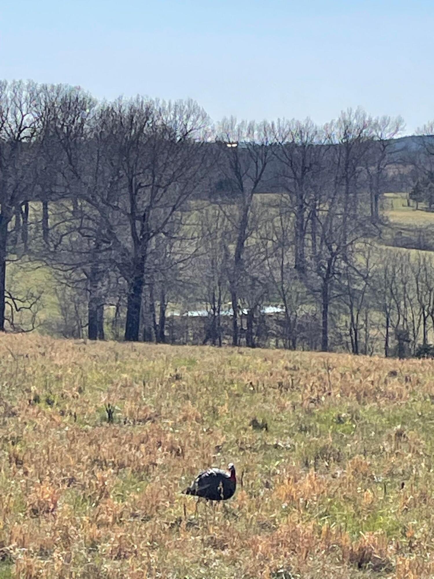 N/A - Farm