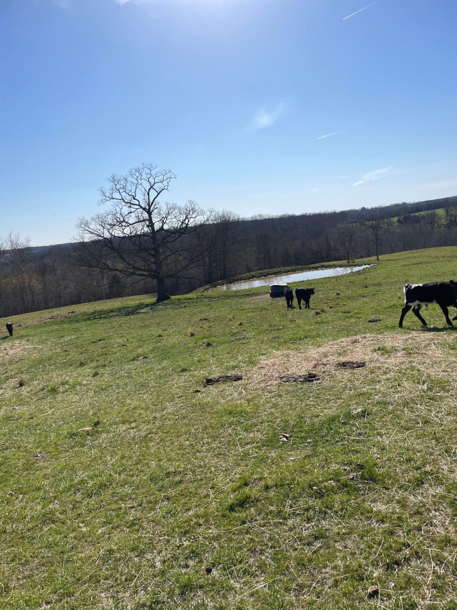 N/A - Farm