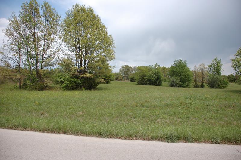 6.42 Acres of General Manufacturing Zoned Property - Three Sides of Road Frontage for Easy Ingress and Egress - Located in the IDC Industrial Park - Land Lays Nice - Great Building Site - City Sewer & Water - West Plains is the largest community within 100 Miles, has a Conveniently Located Municipal Airport Within 10 Miles and, being in the Heart of the Ozarks, Trophy Trout Fishing, Beautiful Springs & Lakes, Hiking, Floating and Other Tourist Attractions are within Easy Reach - West Plains is Home to Ozark Medical Center, a Major Hospital and Surgical Facility, Air Evac Lifeteam (recently built a new expanded facility), Missouri State University-West Plains Campus (Go Bears!) and Retail Giants J.C. Penney, Wal-Mart, Ruby Tuesdays, Big Lots, etc. - Come Join the Fun and Growth of West Plains.
