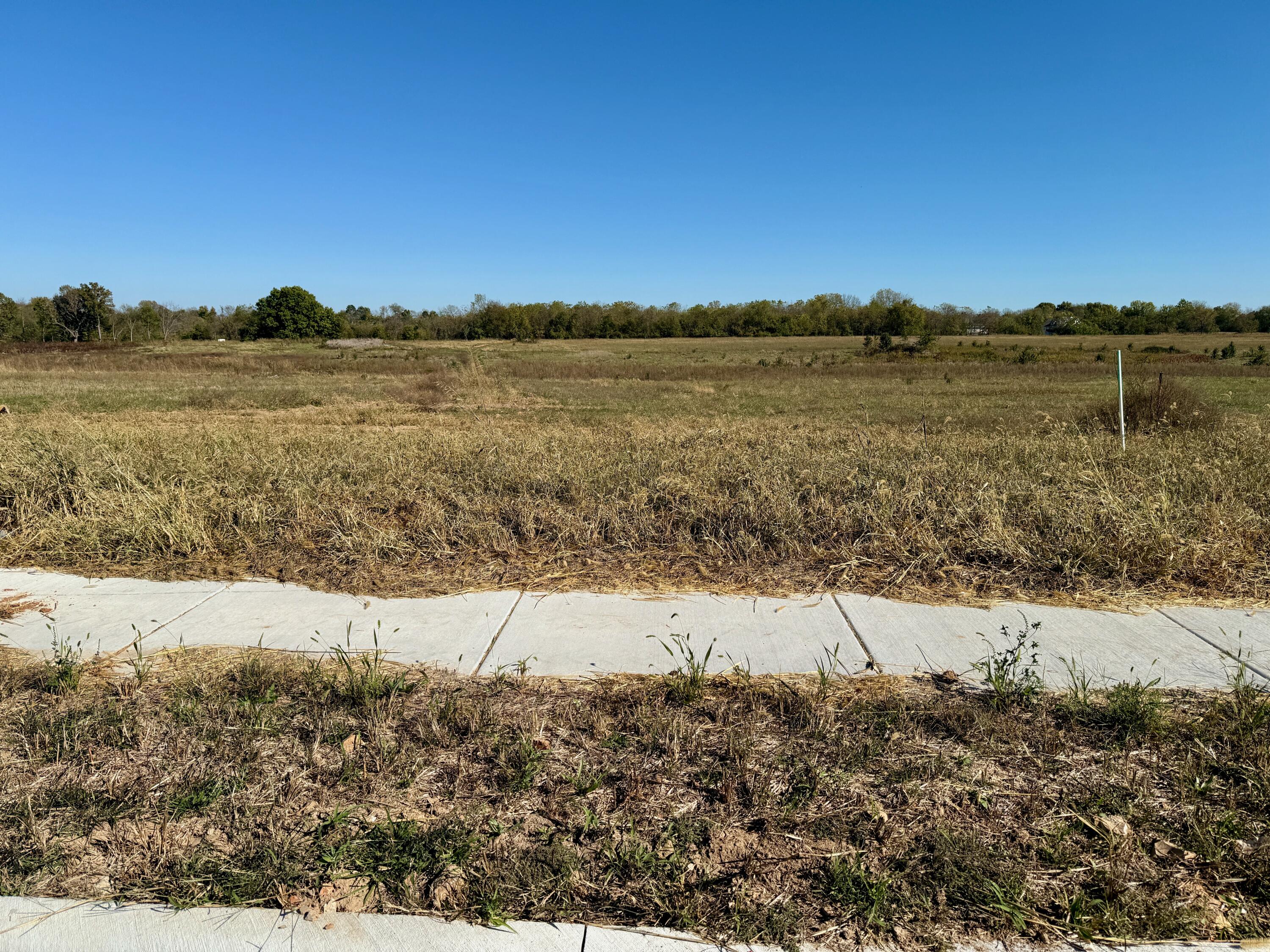 Phase 4 The Lakes at Shuyler Ridge in Republic!  Great Subdivision in Republic with a Swimming Pool, children's play area, tennis courts, lakes, and walking trails. Easy access to shopping and 7 restaurants. High-speed internet.