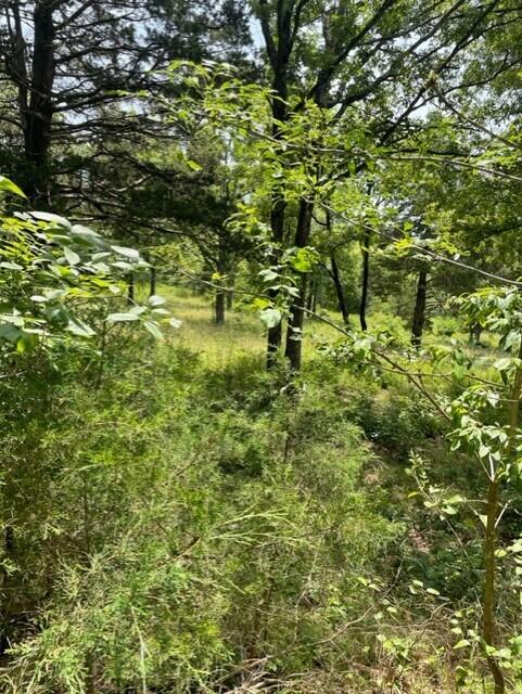 Forest Cove Estates - Land