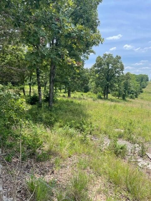 .Almost flat and paritally cleared, this lot is just south of Shell Knob and State Highway 39,  a little over a mile to a boat launch, and just north of Kings River Marina.  The only restrictions are those mandated by Stone County Planning and Zoning.  Imagine the possiblities!!  The corners have been marked, so come take a look.