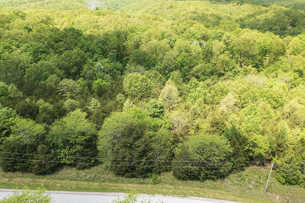 Walnut Springs - Land