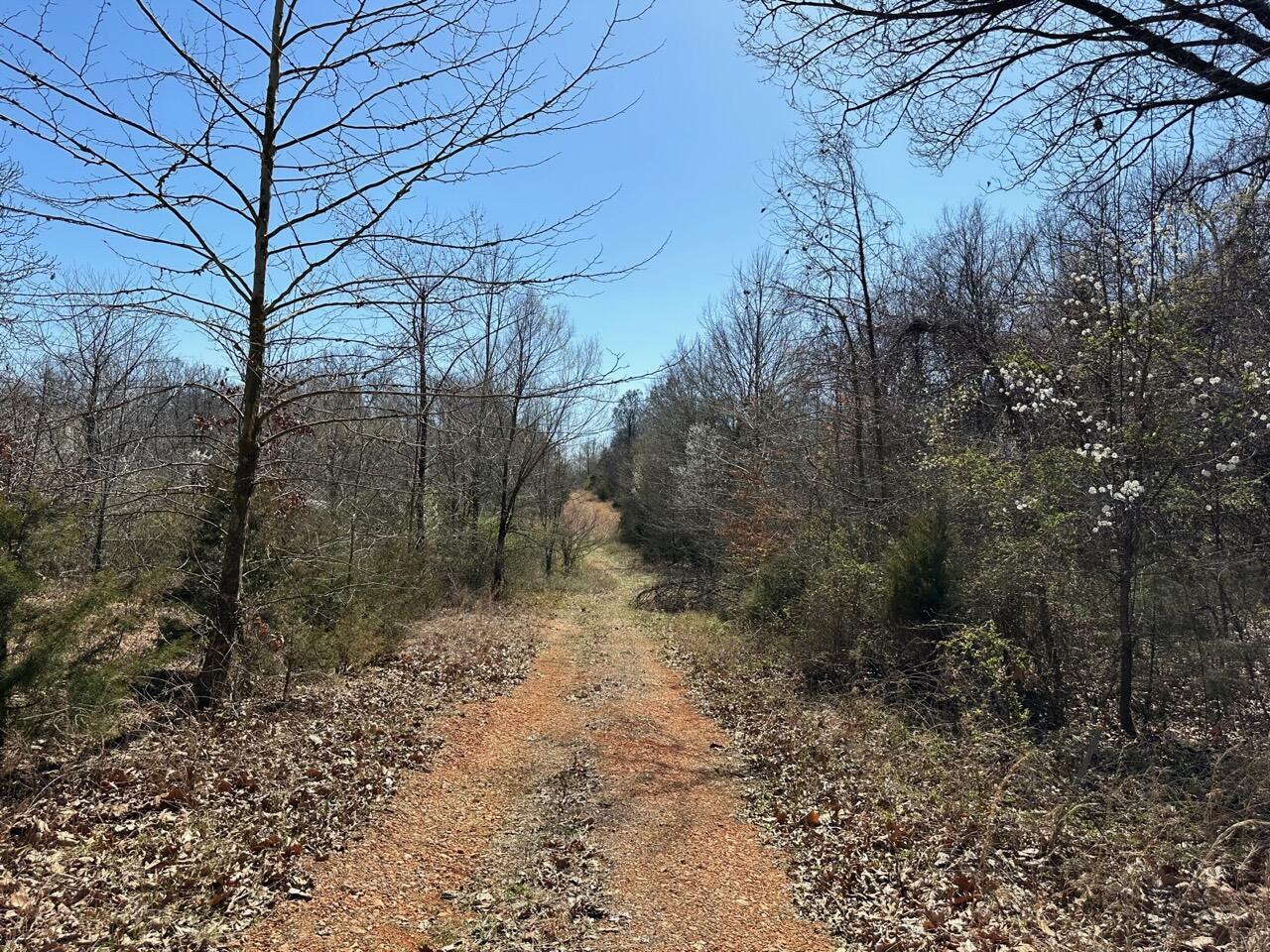 67 LOTS!! City utilities are available. This property is waiting for a new builder!