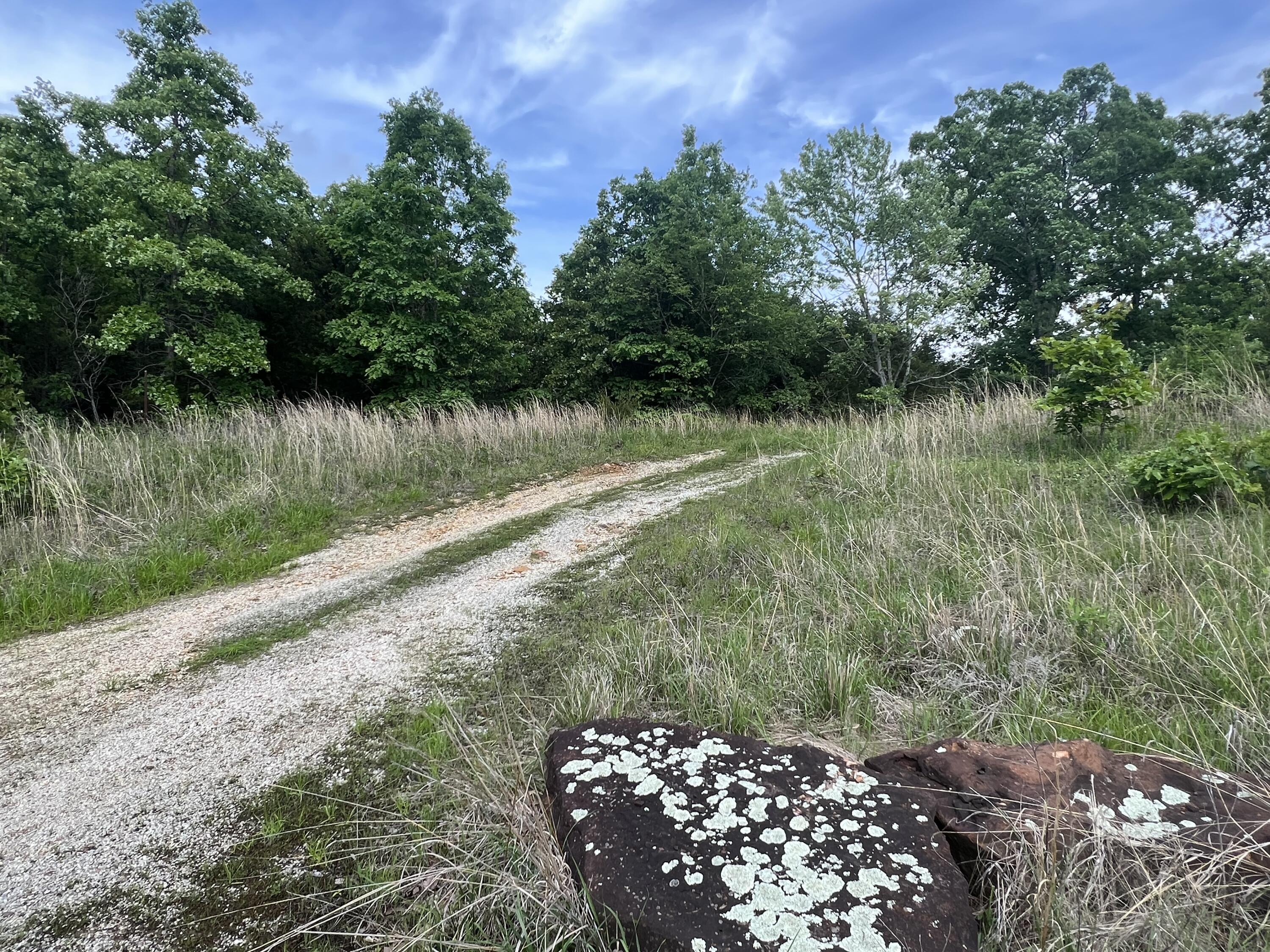 Looking for your next investment property? Then look no further! These 30 +/- acres have endless possibilities! Build your dream home or just use it for recreational purposes. Property already has a well and septic in place. Only 10 miles to MO 32 Hwy, and then a few short miles to Crabtree Cove. Don't let this opportunity slip by. Call for a showing today!