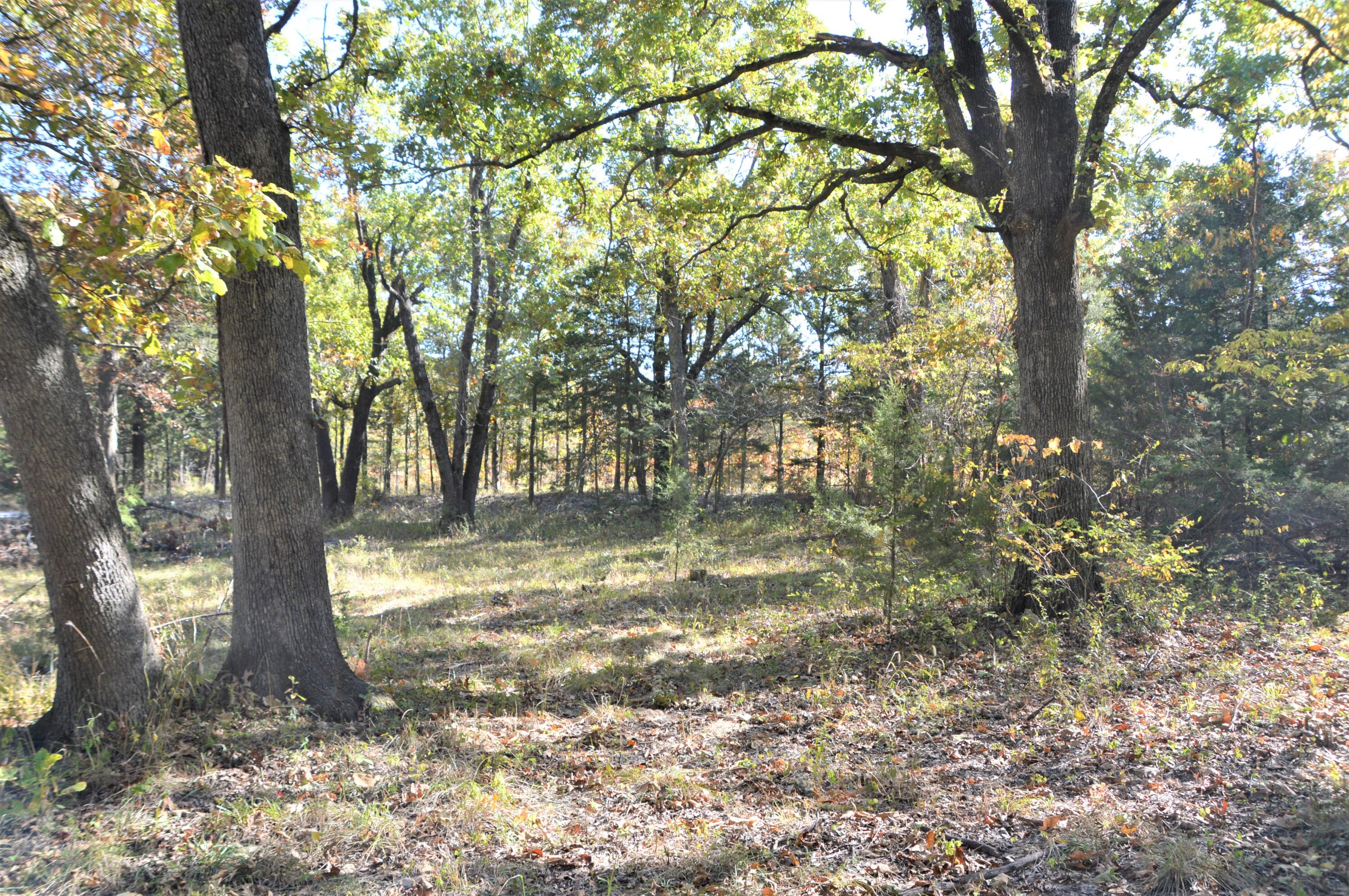 Beautiful wooded 7.4  acres with towering trees. What a great place to build in great location close to Hwy 65 and Skyline Schools.  Property has a well on the property (condition not known), electrical hook up and older block building (could be rehabbed or taken down).