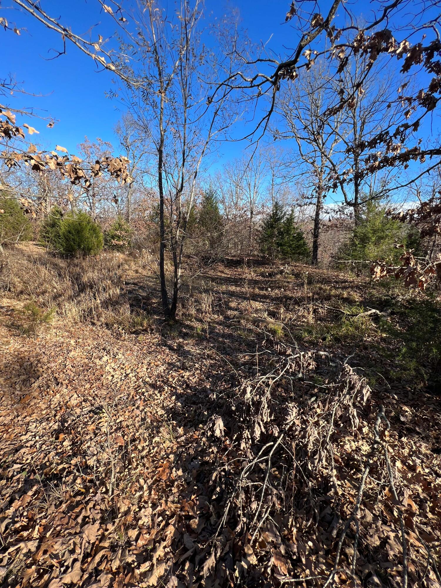 Explore the opportunity to own approximately 20acres of land in the beautiful area of Sullivan on blacktop Hwy 185. This property is ready for building, with water and electric services already set up, including a deep well. It features several outbuildings that can be used for various purposes. The land is mostly wooded, offering a natural, private setting. It's an ideal spot for anyone looking to build a home, set up a farm, recreation/hunting or just enjoy a large, private outdoor space.Don't Miss Out on This Opportunity to create your own paradise in Sullivan!Prospective buyers, if you do not have a preapproval letter or proof of funds, please secure it before scheduling a showing. Buyer to verify all measurements and online data