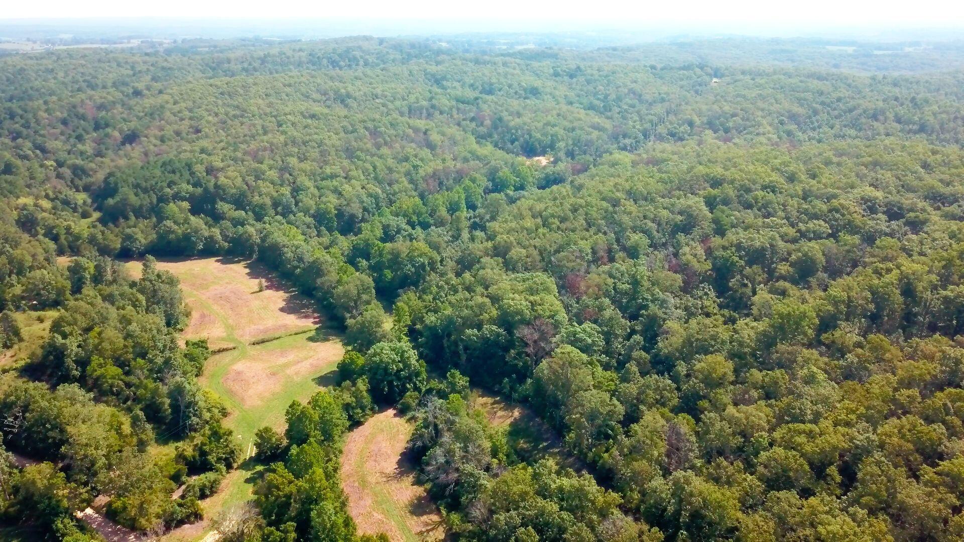 BUILDING SITE AND ELECTRIC UTILITY ACCESSIBLE! This property has paved state highway access to get you into town quickly, but yet provides you the peace and quiet of country living. While mostly wooded with mixed timber, and scattered pines, the woods are wide open for wildlife to travel through. There is an abundance of those Southern Missouri Whitetail deer and turkey that travel through the area. Approximately. 10 acres of meadow, a 1.2 +/- acre lake, and two small ponds on the property. Wet weather creek system and a spring-fed area. The elevation variance on this property is 180 feet from top to bottom. The main lake is very well established with great water clarity and contains much natural vegetation to support fishing. Fishing from the banks around the pond provides for easy accessibility. Gravel road/trail access through the property and to the lake building site.